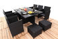 Promotion Rattan Furniture 11PCS Indoor / Outdoor Rattan Dining Sets Set With Cushion